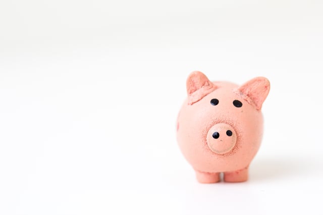 An image of a piggy bank to represent payment options for an LMS. 